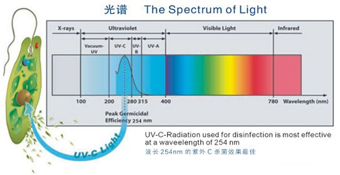 科普！紫外線殺菌燈對(duì)人體影響及正確使用方法